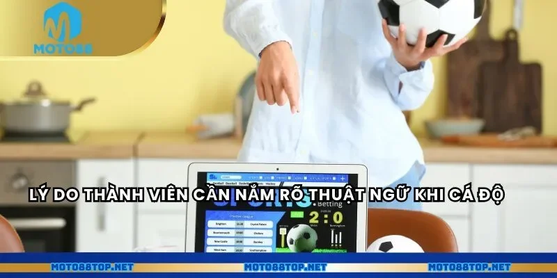 Lý do thành viên cần nắm rõ thuật ngữ khi cá độ