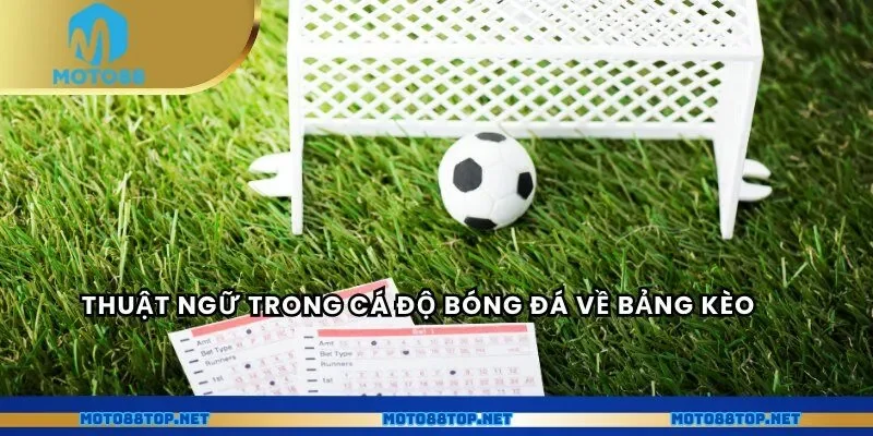 Thuật ngữ trong cá độ bóng đá về bảng kèo