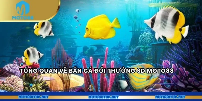 Tổng quan về bắn cá đổi thưởng MOTO88